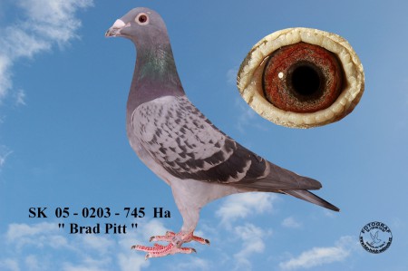 SK  05 - 0203 - 745